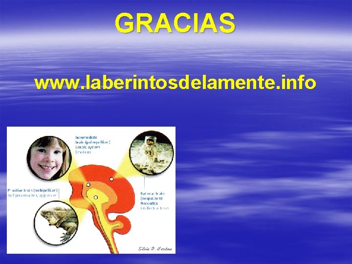 GRACIAS www. laberintosdelamente. info 