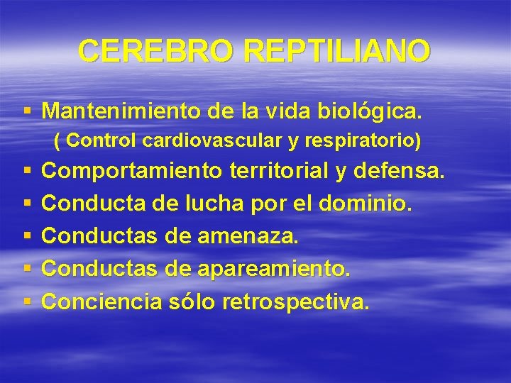 CEREBRO REPTILIANO § Mantenimiento de la vida biológica. ( Control cardiovascular y respiratorio) §