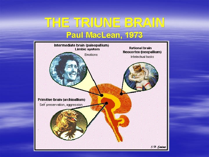 THE TRIUNE BRAIN Paul Mac. Lean, 1973 