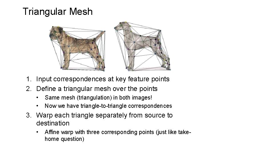 Triangular Mesh 1. Input correspondences at key feature points 2. Define a triangular mesh Triangular Mesh 1. Input correspondences at key feature points 2. Define a triangular mesh
