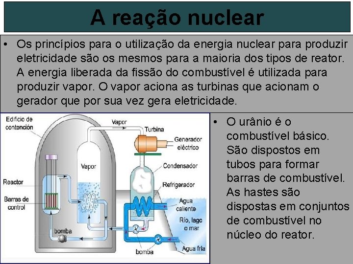 A reação nuclear • Os princípios para o utilização da energia nuclear para produzir