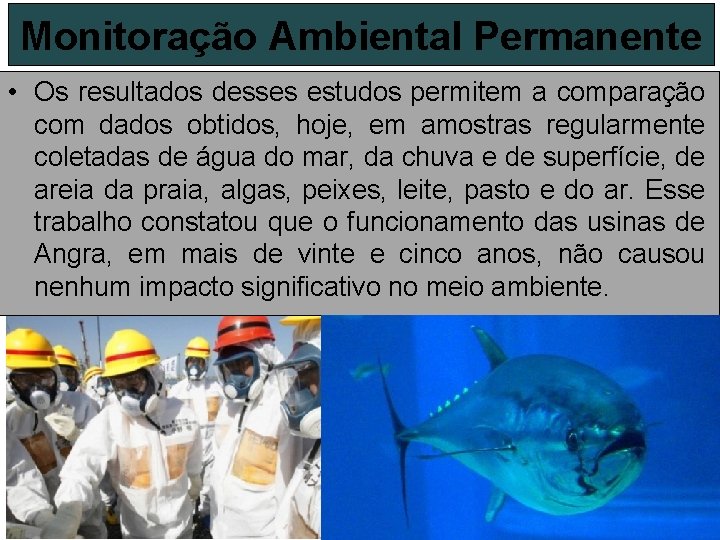 Monitoração Ambiental Permanente • Os resultados desses estudos permitem a comparação com dados obtidos,