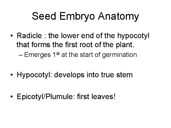 Seed Embryo Anatomy • Radicle : the lower end of the hypocotyl that forms