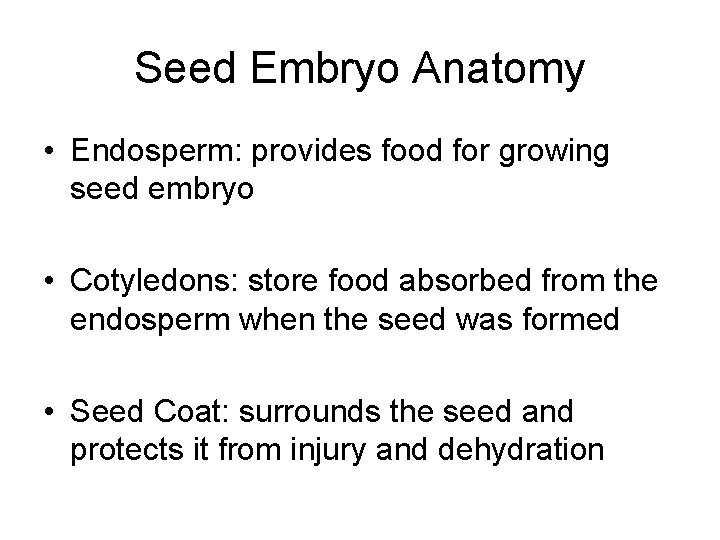 Seed Embryo Anatomy • Endosperm: provides food for growing seed embryo • Cotyledons: store