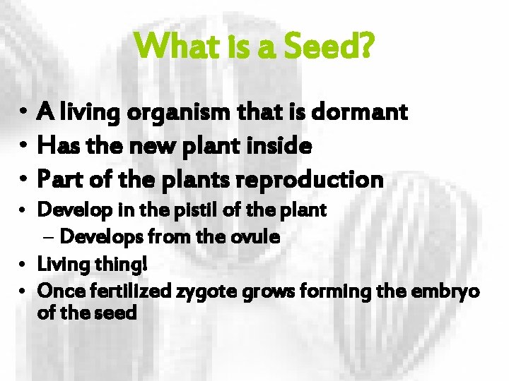 What is a Seed? • A living organism that is dormant • Has the