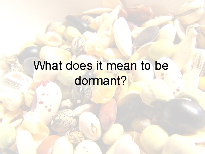 What does it mean to be dormant? 