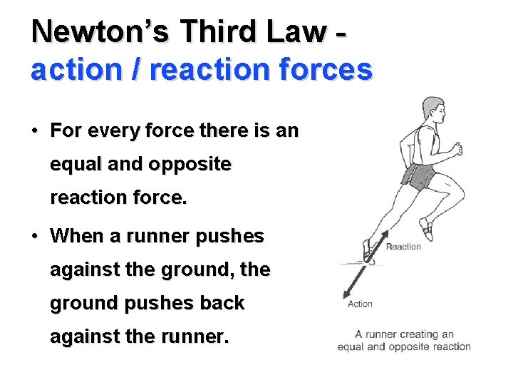 Newton’s Third Law action / reaction forces • For every force there is an