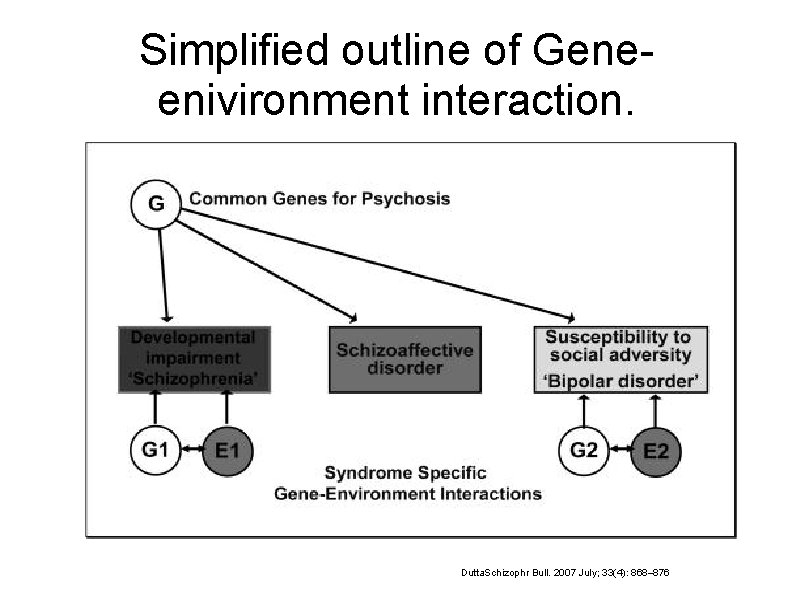 Simplified outline of Geneenivironment interaction. Dutta. Schizophr Bull. 2007 July; 33(4): 868– 876 