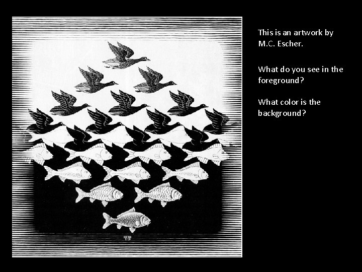 This is an artwork by M. C. Escher. What do you see in the This is an artwork by M. C. Escher. What do you see in the