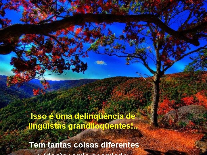 Isso é uma delinqüência de lingüistas grandiloqüentes!. . Tem tantas coisas diferentes Isso é uma delinqüência de lingüistas grandiloqüentes!. . Tem tantas coisas diferentes