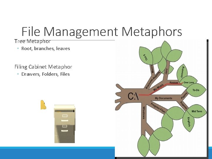 File Management Metaphors Tree Metaphor ◦ Root, branches, leaves Filing Cabinet Metaphor ◦ Drawers, File Management Metaphors Tree Metaphor ◦ Root, branches, leaves Filing Cabinet Metaphor ◦ Drawers,