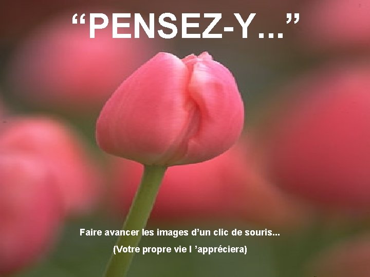 “PENSEZ-Y. . . ” Faire avancer les images d’un clic de souris. . .