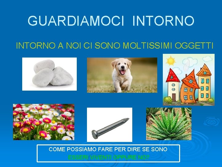 GUARDIAMOCI INTORNO A NOI CI SONO MOLTISSIMI OGGETTI COME POSSIAMO FARE PER DIRE SE