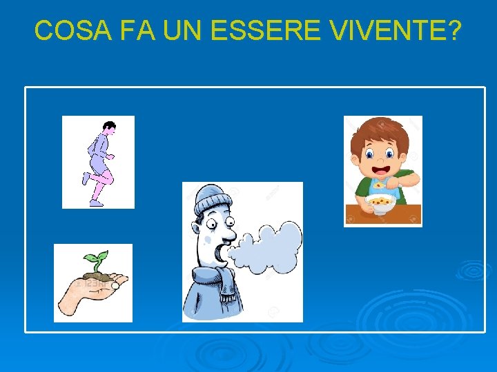 COSA FA UN ESSERE VIVENTE? 