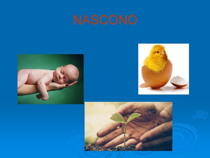 NASCONO 