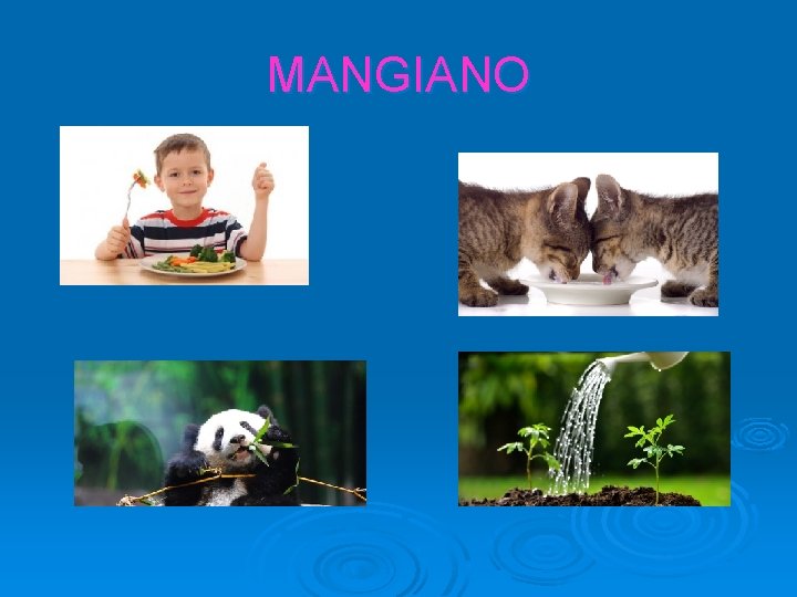 MANGIANO 