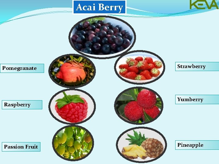 Acai Berry Pomegranate Raspberry Passion Fruit Strawberry Yumberry Pineapple 