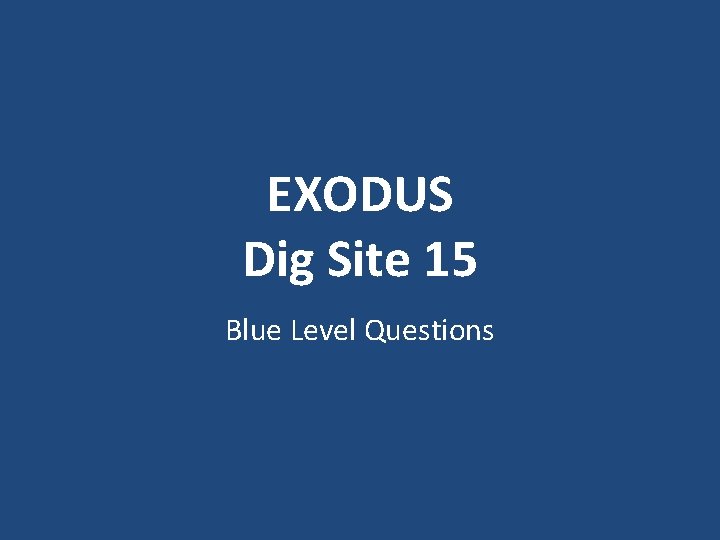 EXODUS Dig Site 15 Blue Level Questions 