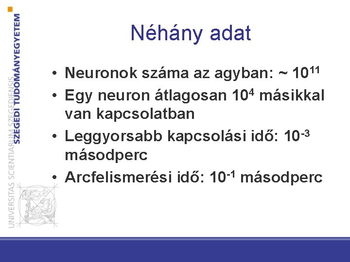 Néhány adat • Neuronok száma az agyban: ~ 1011 • Egy neuron átlagosan 104