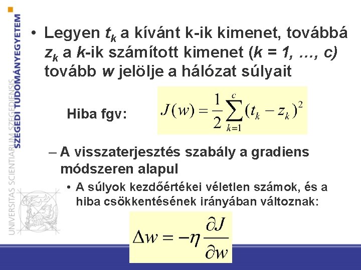  • Legyen tk a kívánt k-ik kimenet, továbbá zk a k-ik számított kimenet