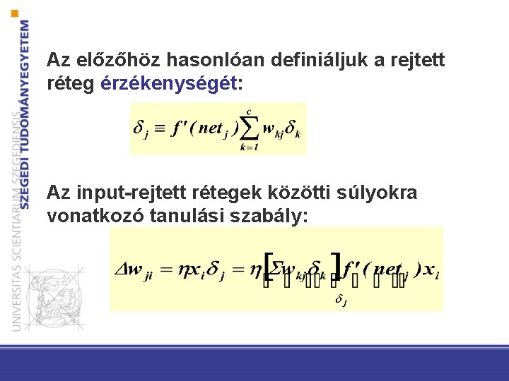 Az előzőhöz hasonlóan definiáljuk a rejtett réteg érzékenységét: Az input-rejtett rétegek közötti súlyokra vonatkozó