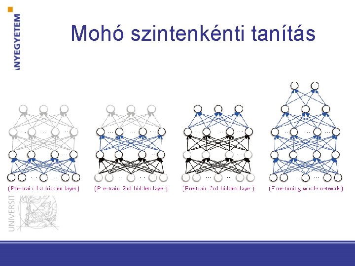 Mohó szintenkénti tanítás 