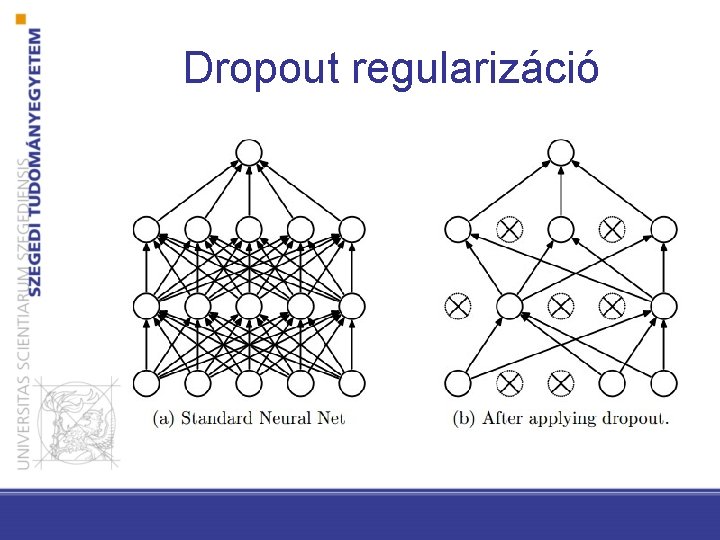 Dropout regularizáció 