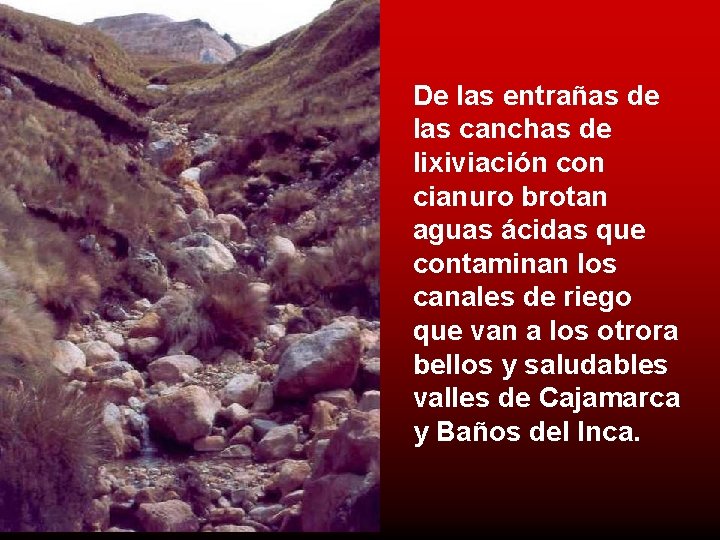 De las entrañas de las canchas de lixiviación con cianuro brotan aguas ácidas que