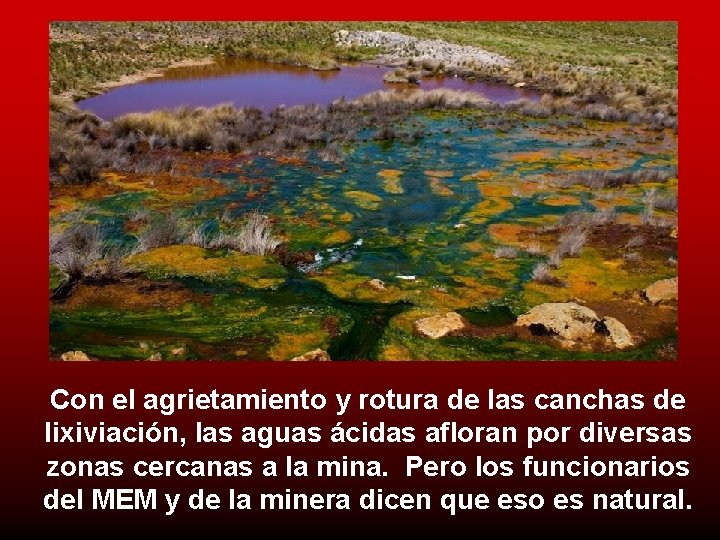 Con el agrietamiento y rotura de las canchas de lixiviación, las aguas ácidas afloran