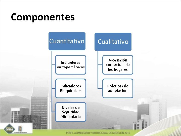 Componentes Cuantitativo Cualitativo Indicadores Antropométricos Asociación contextual de los hogares Indicadores Bioquímicos Prácticas de
