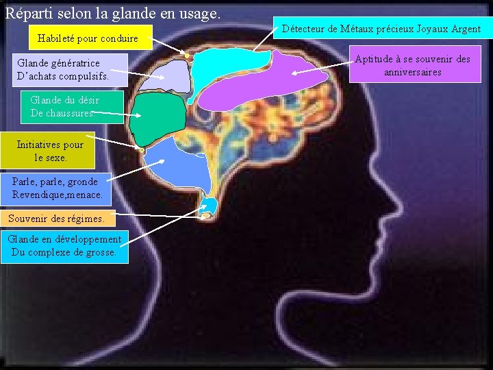 Réparti selon la glande en usage. Habileté pour conduire Glande génératrice D’achats compulsifs. Glande