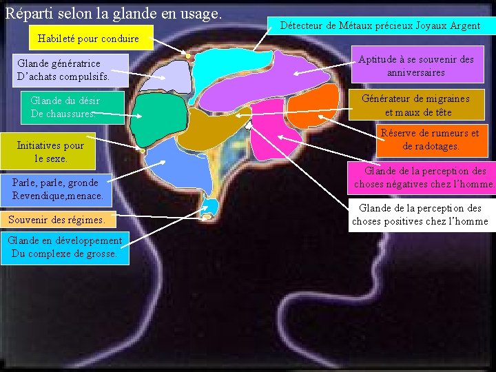 Réparti selon la glande en usage. Détecteur de Métaux précieux Joyaux Argent Habileté pour