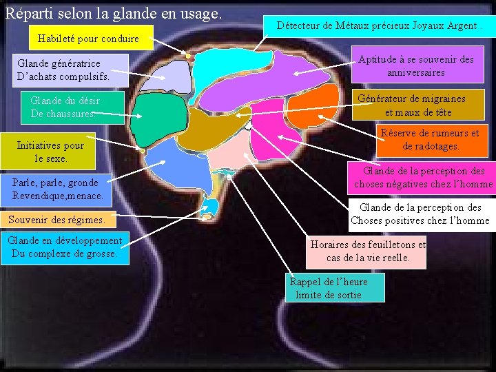 Réparti selon la glande en usage. Détecteur de Métaux précieux Joyaux Argent. Habileté pour