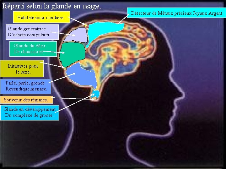 Réparti selon la glande en usage. Habileté pour conduire Glande génératrice D’achats compulsifs. Glande
