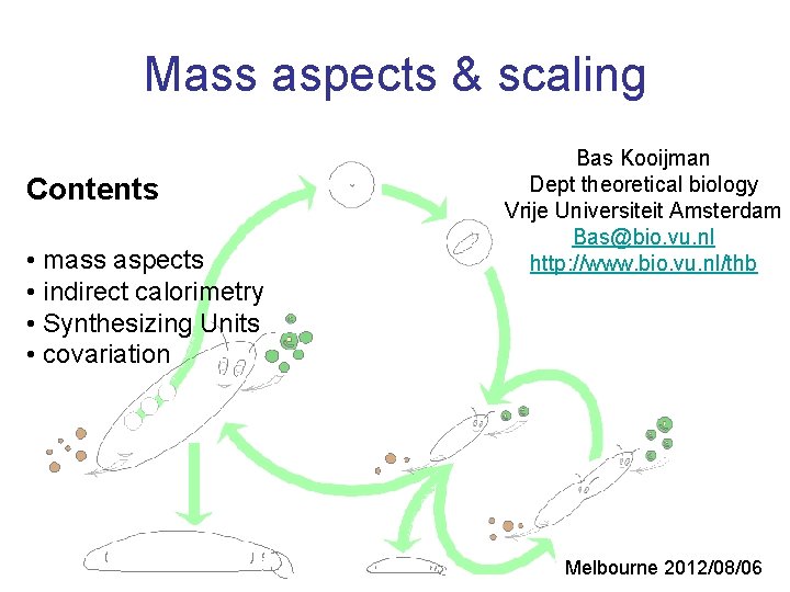 Mass aspects & scaling Contents • mass aspects • indirect calorimetry • Synthesizing Units