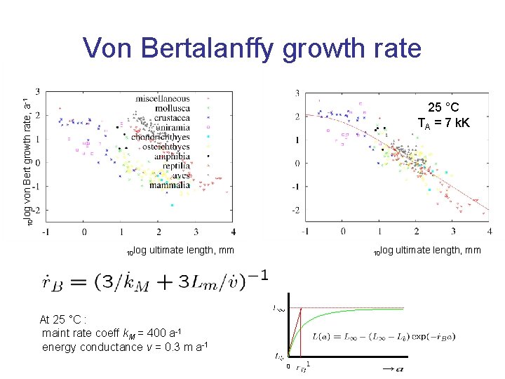 von Bert growth rate, a-1 Von Bertalanffy growth rate 10 log 25 °C TA