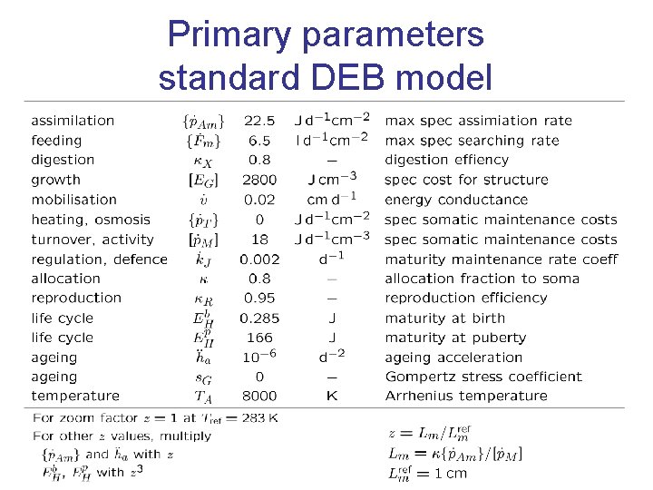 Primary parameters standard DEB model 