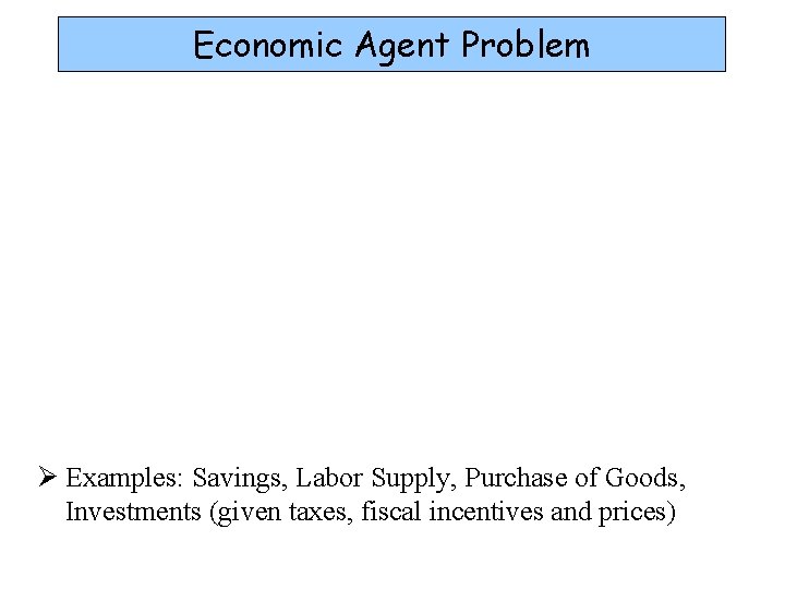 Economic Agent Problem Ø Examples: Savings, Labor Supply, Purchase of Goods, Investments (given taxes,