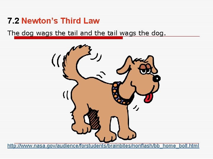 7. 2 Newton’s Third Law The dog wags the tail and the tail wags