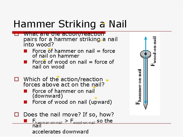 Hammer Striking a Nail o What are the action/reaction pairs for a hammer striking