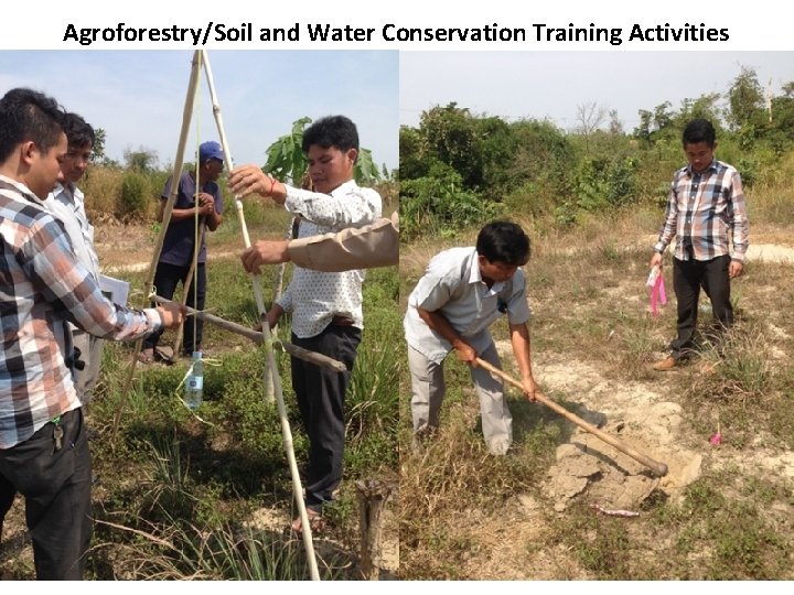 Agroforestry/Soil and Water Conservation Training Activities 