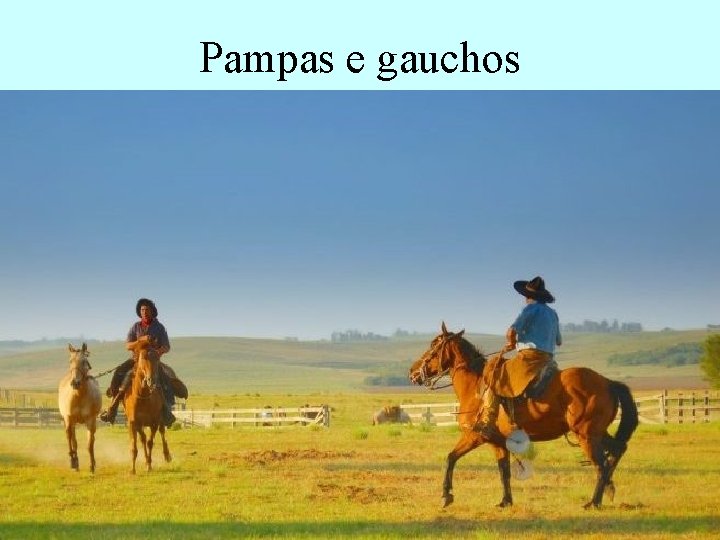 Pampas e gauchos Pampas e gauchos