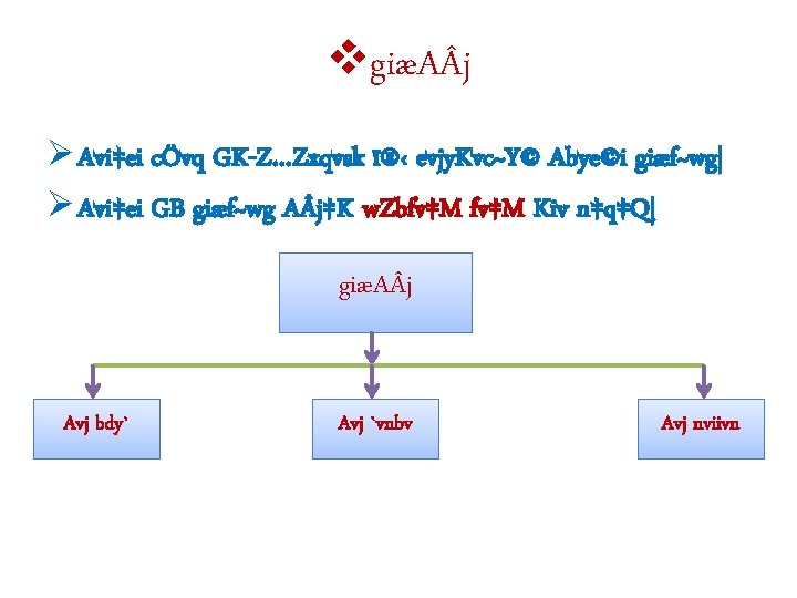 vgiæA j Ø Avi‡ei cÖvq GK-Z…Zxqvsk ï®‹ evjy. Kvc~Y© Abye©i giæf~wg| Ø Avi‡ei GB