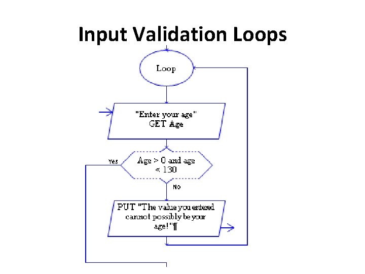 Input Validation Loops 