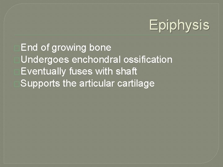 Epiphysis �End of growing bone �Undergoes enchondral ossification �Eventually fuses with shaft �Supports the