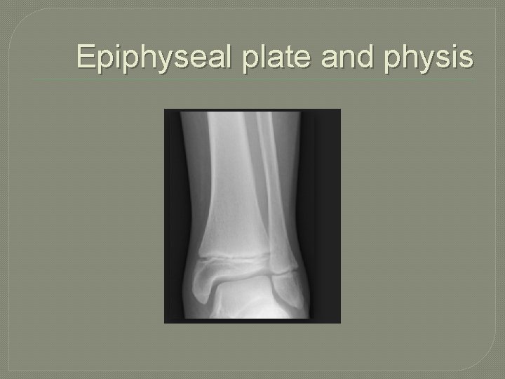 Epiphyseal plate and physis 