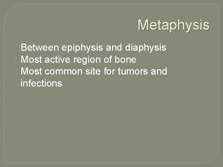 Metaphysis �Between epiphysis and diaphysis �Most active region of bone �Most common site for