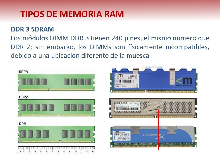 TIPOS DE MEMORIA RAM DDR 3 SDRAM Los módulos DIMM DDR 3 tienen 240