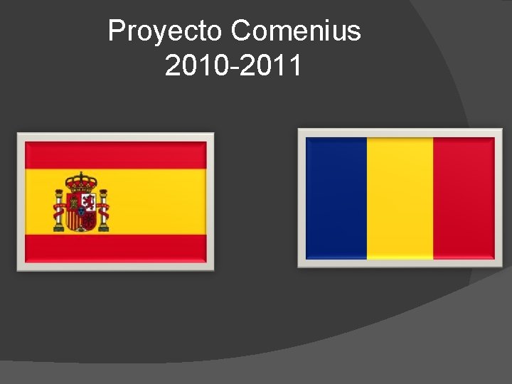 Proyecto Comenius 2010 -2011 