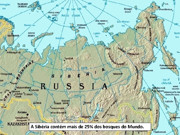 A Sibéria contém mais de 25% dos bosques do Mundo. 